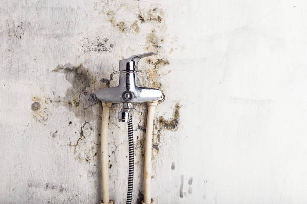 Best Home Mold Removal  in Coson, OK