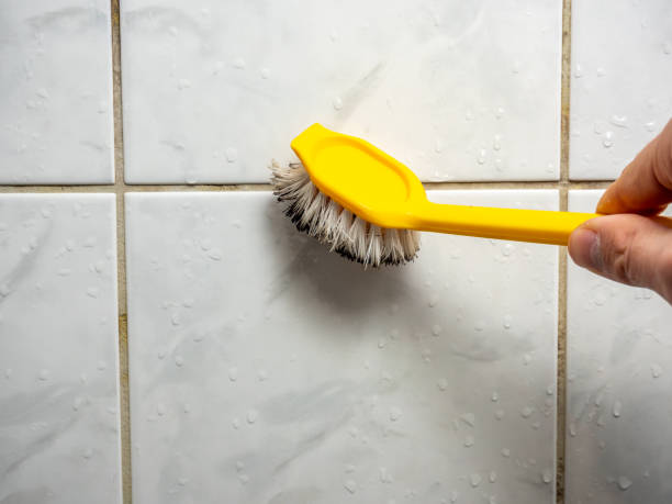 Best Mold Removal and Inspection  in Coson, OK