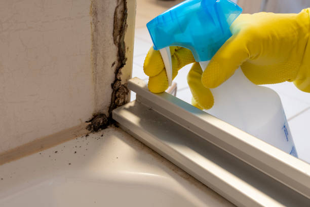 Best Mold Removal Near Me  in Coson, OK