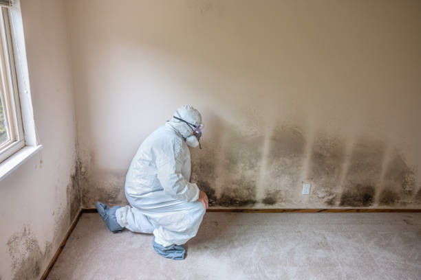 Best Emergency Mold Removal  in Coson, OK