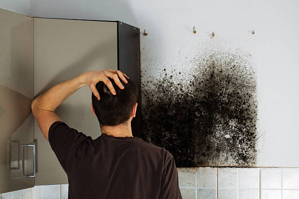 Best Commercial Mold Removal  in Coson, OK